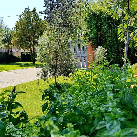 Welcome Oda ve Kahvaltı