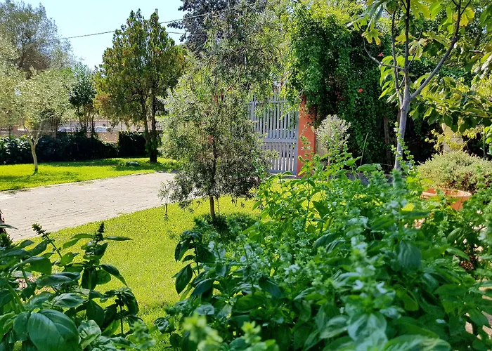 Welcome Bed & Breakfast